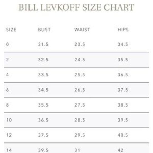 ⭐️Host Pick⭐️Bill Levkoff one shoulder CorsetDress - Picture 4 of 5
